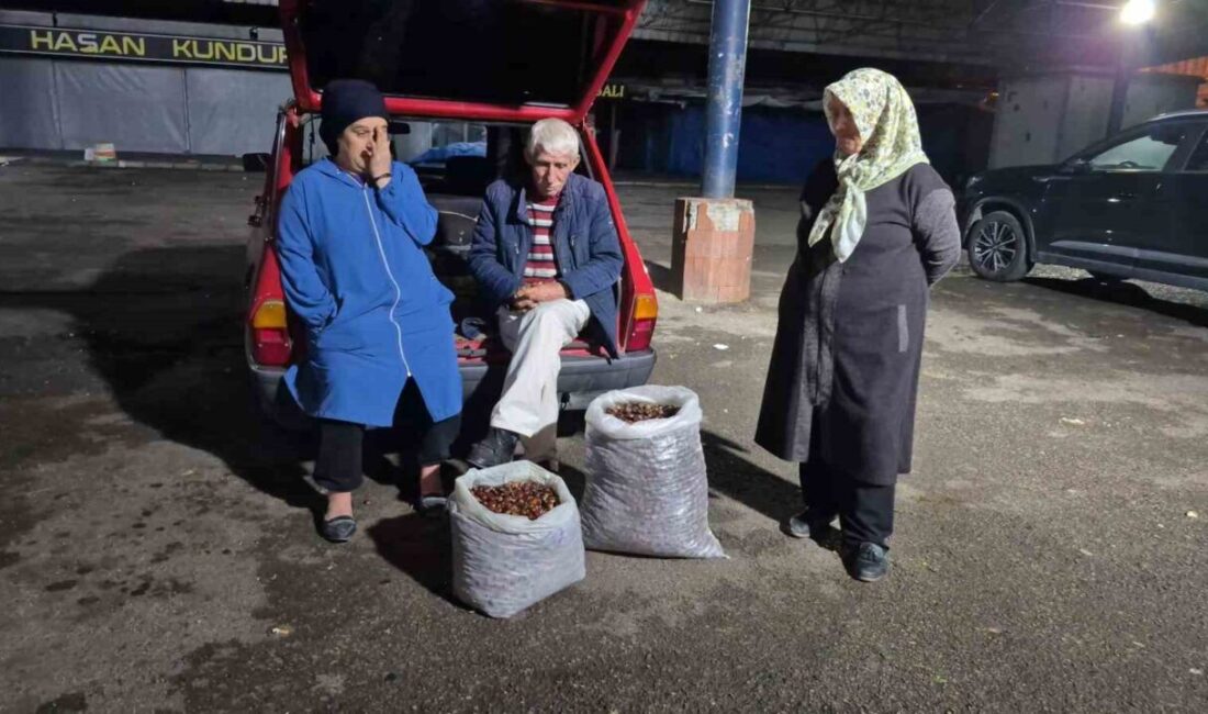 Türkiye'de yaşanan kuraklık, kestane rekoltesini yarıdan fazla düşürerek fiyatları aşması