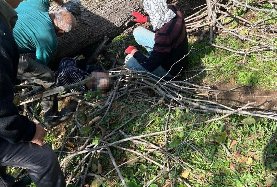 Sakarya'nın Karasu ilçesinde, fındık bahçesinde ağaç kesmeye çalışan 56 yaşındaki