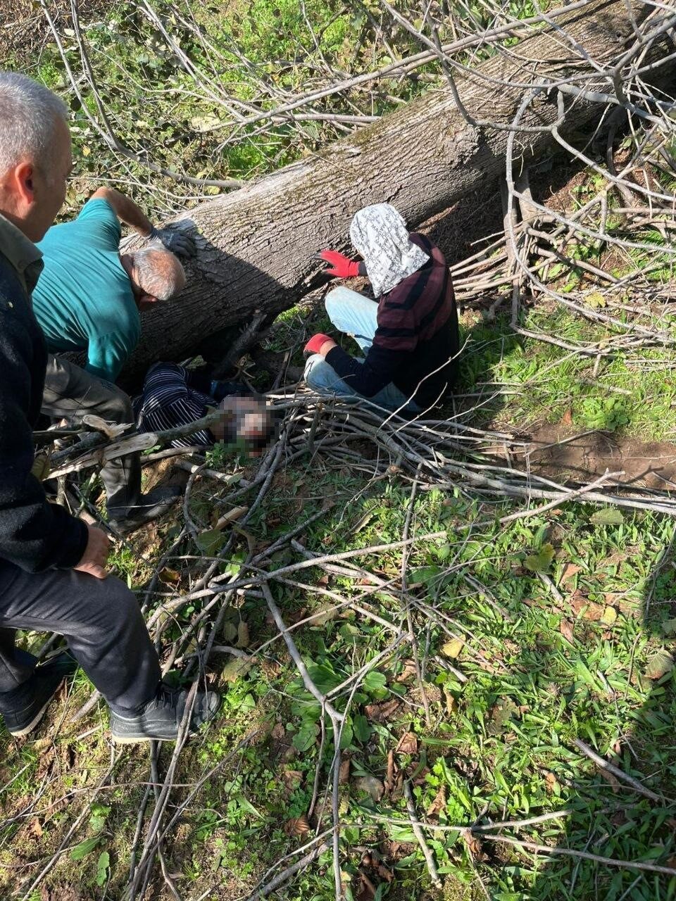 Ağacın Altında Kalarak Yaralanan Adam, Hastanede Hayatını Kaybetti