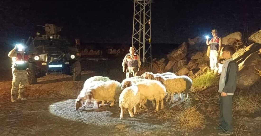 Yenideğirmen Köyü’nde Kaybolan 11 Koyun, Jandarma Tarafından Bulundu Kilis'in Elbeyli ilçesindeki Yenideğirmen köyünde kaybolan 11 koyun, İl Jandarma