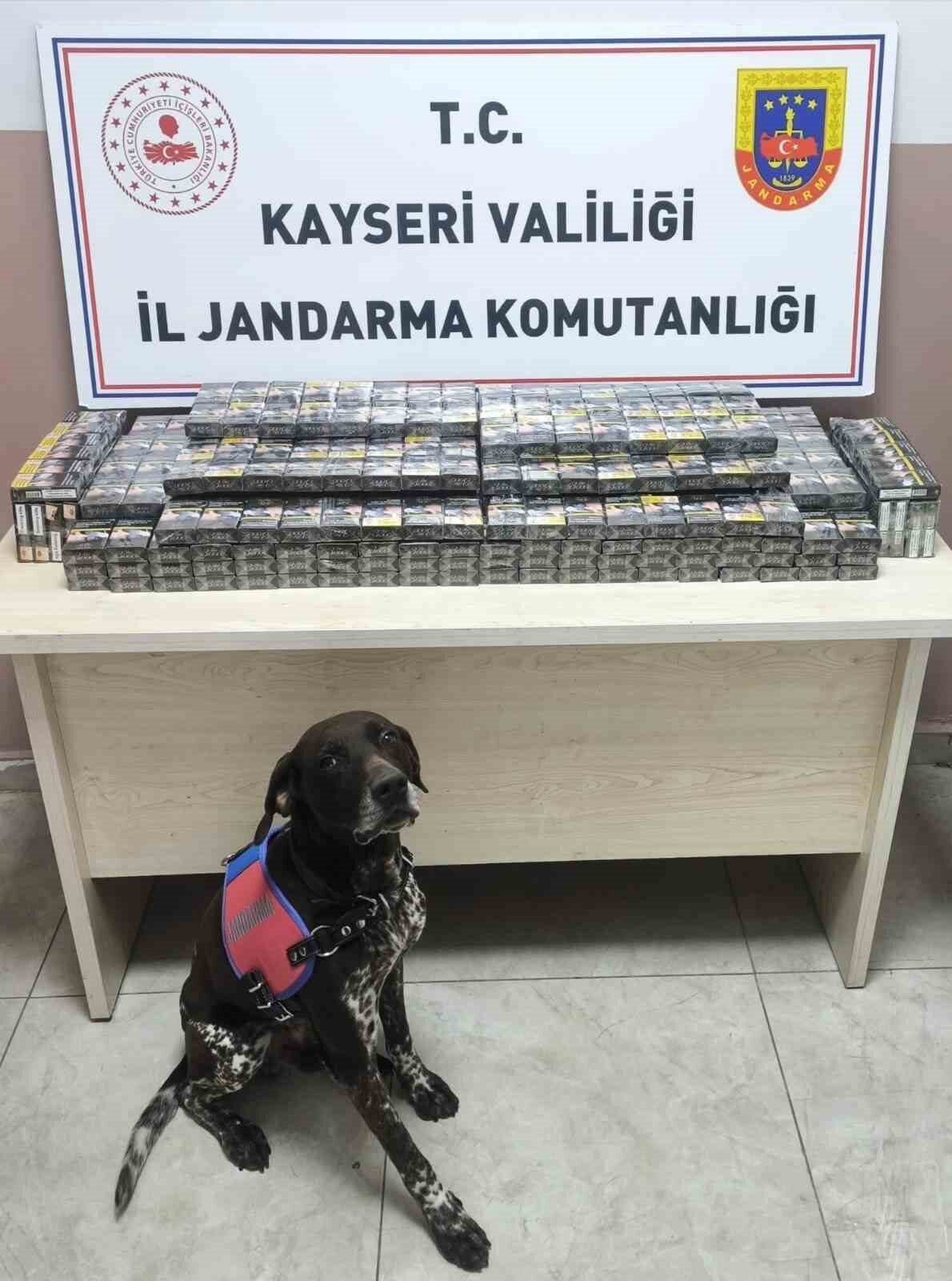 Kayseri'de jandarma, yol kontrolü sırasında durdurduğu iki tırda toplam 560