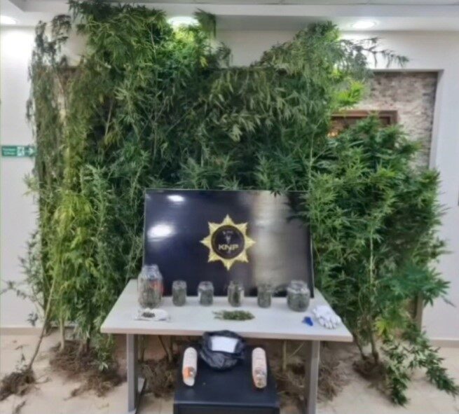 Kırklareli'nin Vize ilçesinde polis, uyuşturucu operasyonu düzenleyerek H.D. ve F.D.