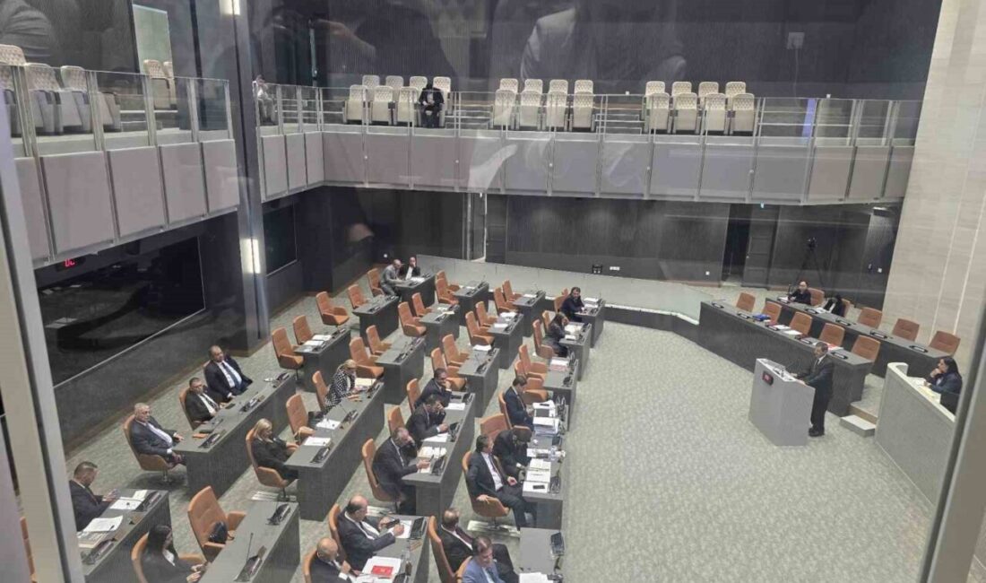 Kuzey Kıbrıs Türk Cumhuriyeti Cumhuriyet Meclisi'nde "Kıbrıs Sorununa İki Devletli