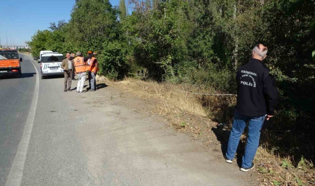 Malatya'nın Yeşilyurt ilçesinde M.M. adlı sürücünün kontrolünü kaybettiği otomobil, Adıyaman