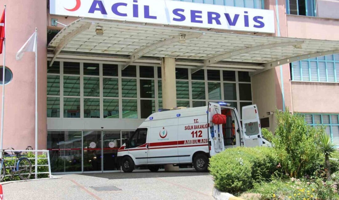 Aydın’ın Germencik ilçesinde, Ayşe Genel (41) yönetimindeki otomobil sulama kanalına