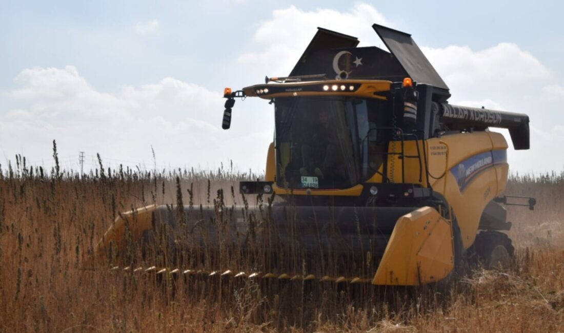 Konya Ovası’nda Çumra Anadolu Üretim ve Pazarlama Kooperatifi, endüstriyel kenevir