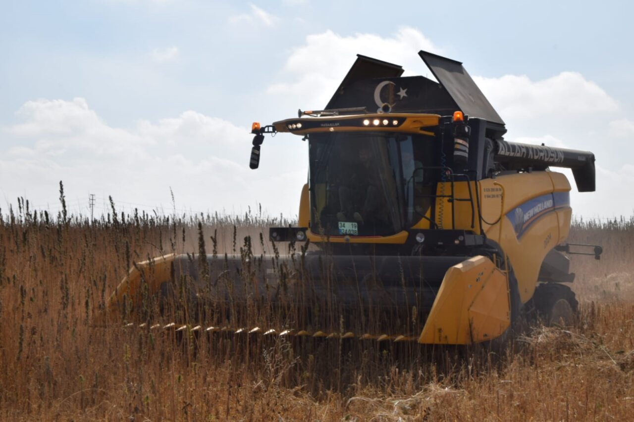 Konya Ovası’nda Çumra Anadolu Üretim ve Pazarlama Kooperatifi, endüstriyel kenevir
