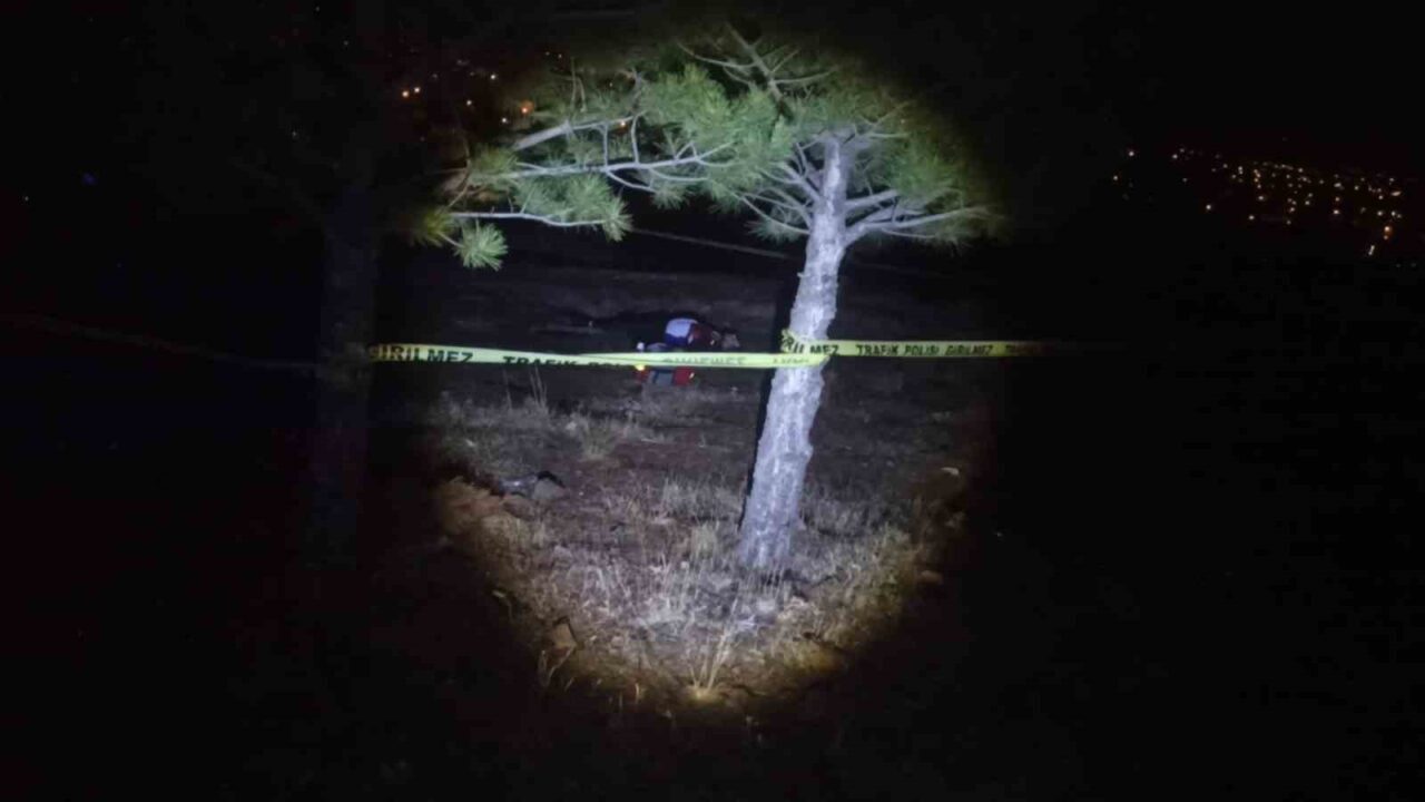 Konya'nın Seydişehir ilçesinde Tolga Can B., aldığı 10 yıl hapis