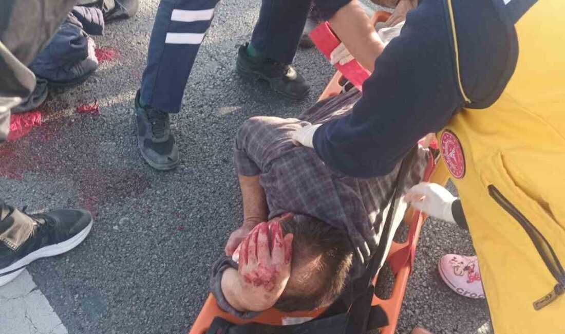 Afyonkarahisar’da sokak köpeğine çarpmamak için manevra yapan motosiklet sürücüsü bariyerlere çarparak yaralandı. Afyonkarahisar'ın Sultandağı ilçesinde S.U. isimli motosiklet sürücüsü, sokak köpeğine çarpmamak