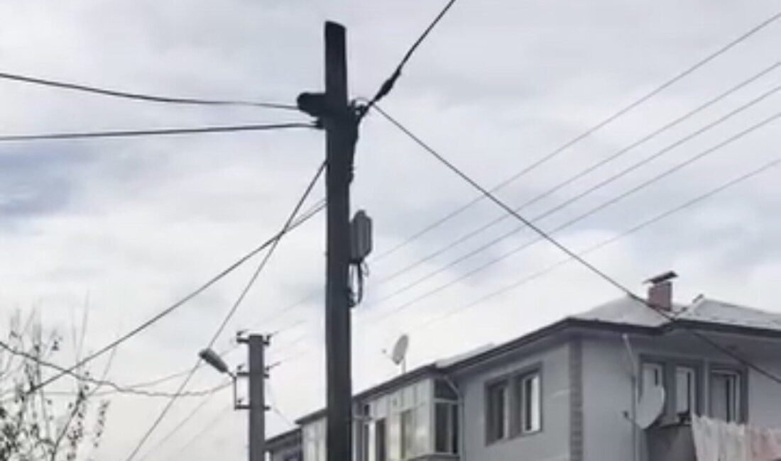 Düzce’de sokak köpeklerinden kaçan kedi, telefon direğinden itfaiye ekiplerince kurtarıldı Düzce'de sokak köpeklerinden kaçan bir kedi, telefon direğine tırmandı ve