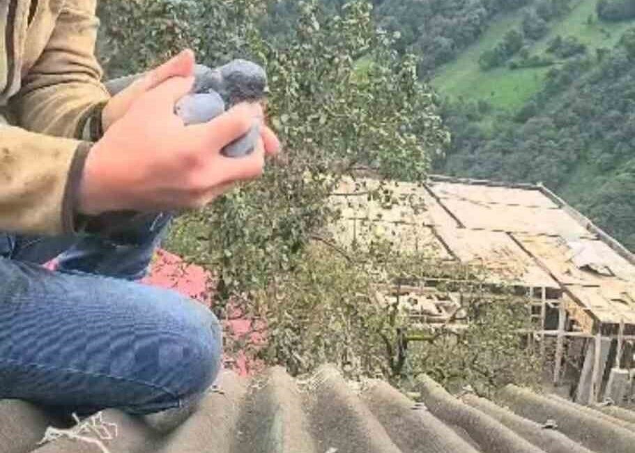 Rize'nin Duygulu köyünde Adem Topaloğlu, çatıya çıkarak ayağı ipe dolanan