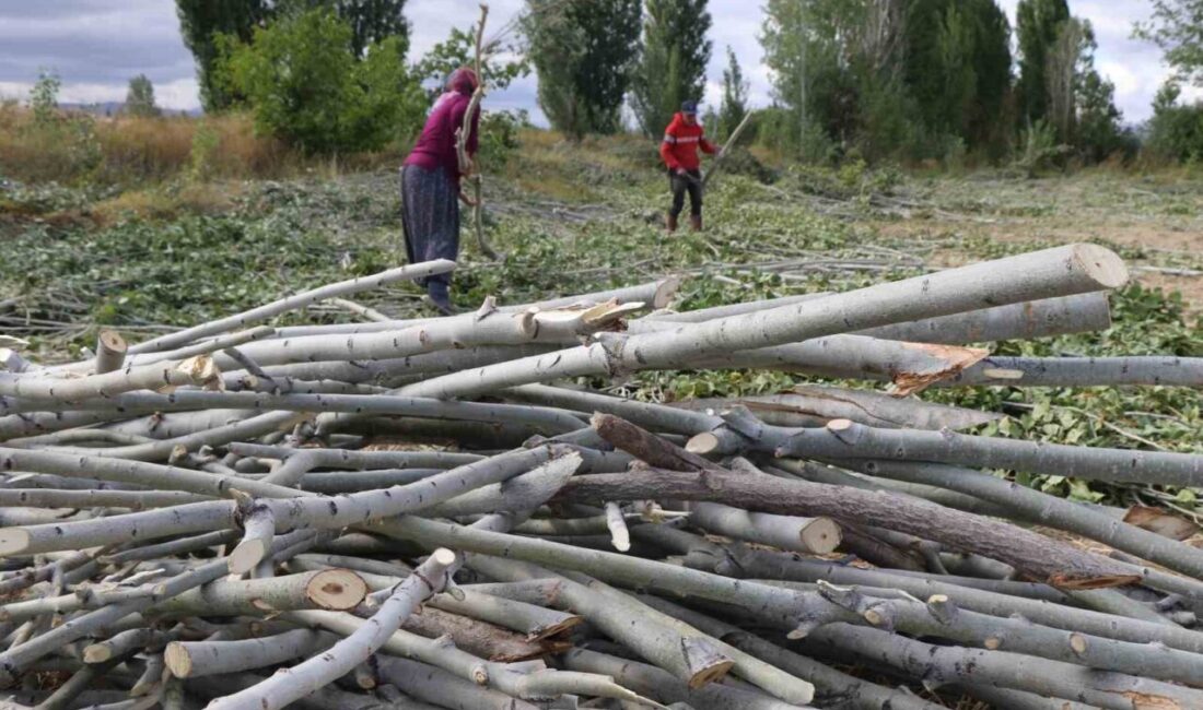 Erzincan'da kış hazırlıkları hız kazandı. Kırsal kesimdeki vatandaşlar, soğuk havalara