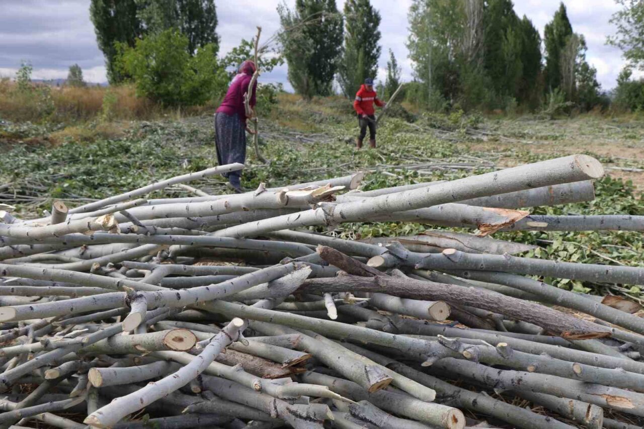 Erzincan'da kış hazırlıkları hız kazandı. Kırsal kesimdeki vatandaşlar, soğuk havalara
