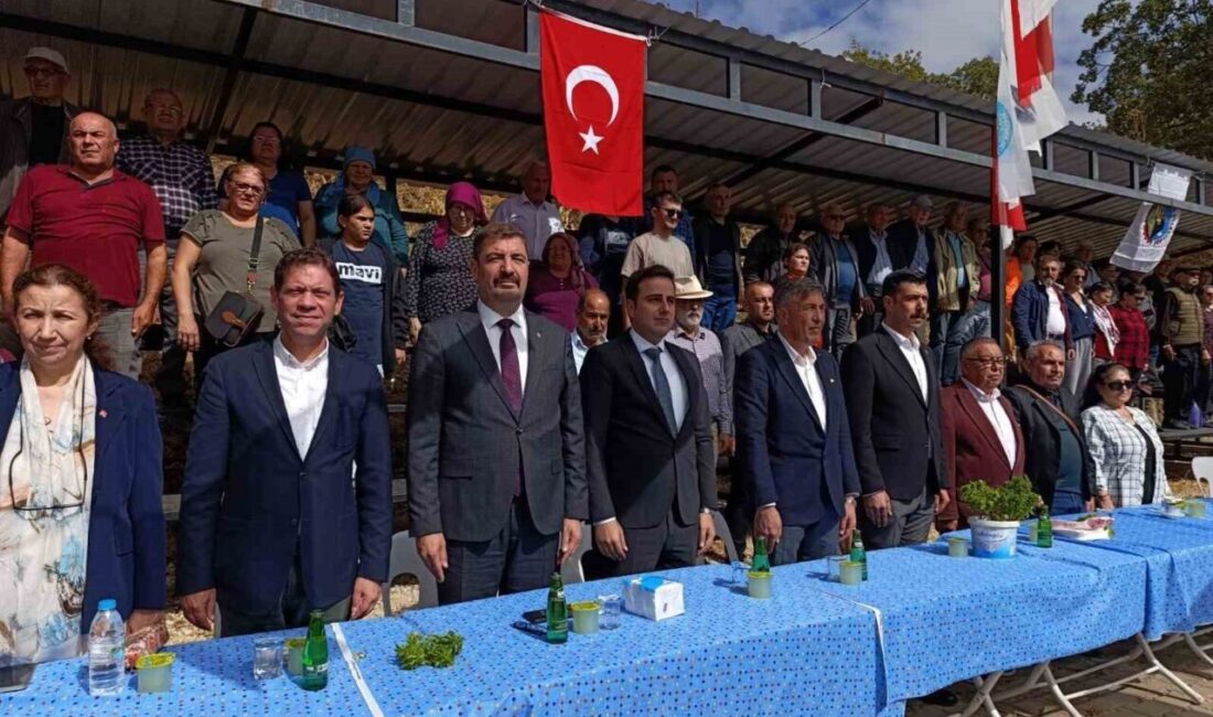 Manisa'nın Kula ilçesindeki Kenger Mahallesi'nde düzenlenen 27. Selvili Dede anma