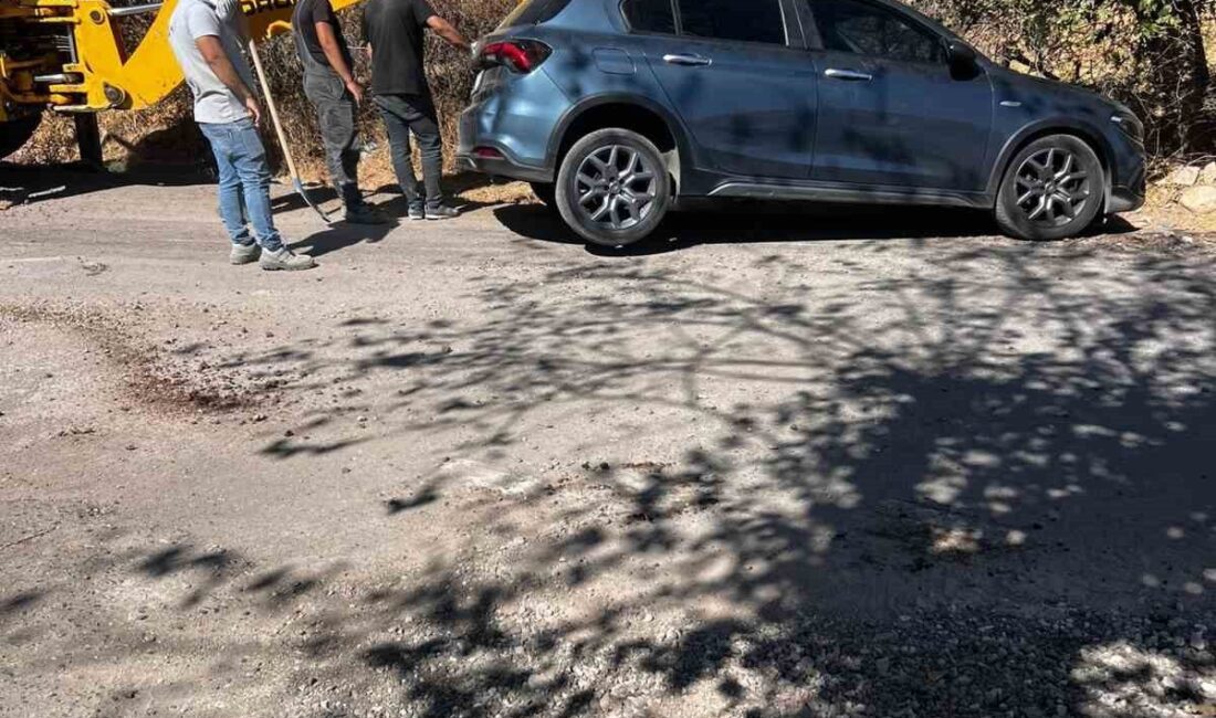 Siirt'in Kurtalan ilçesinde Seyrantepe Mahallesi'nde bir otomobil, sürücüsünün kontrolü kaybetmesi