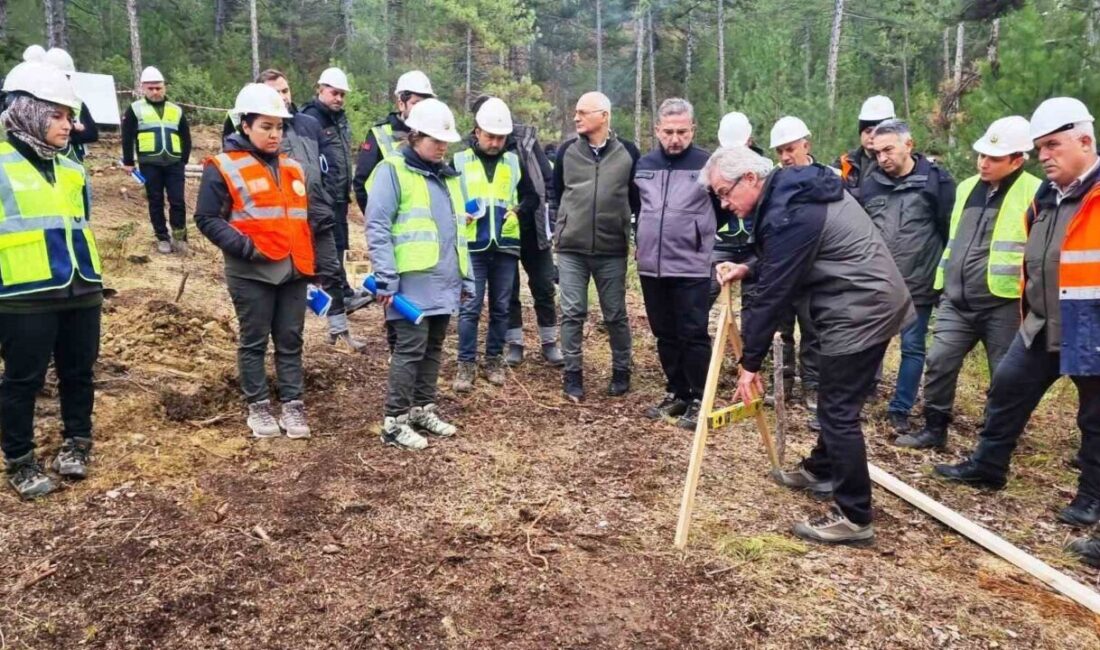 Kütahya Orman Bölge Müdürlüğü'nde "Silvikültürel Uygulamalar" eğitimi yapıldı. Orman Bölge