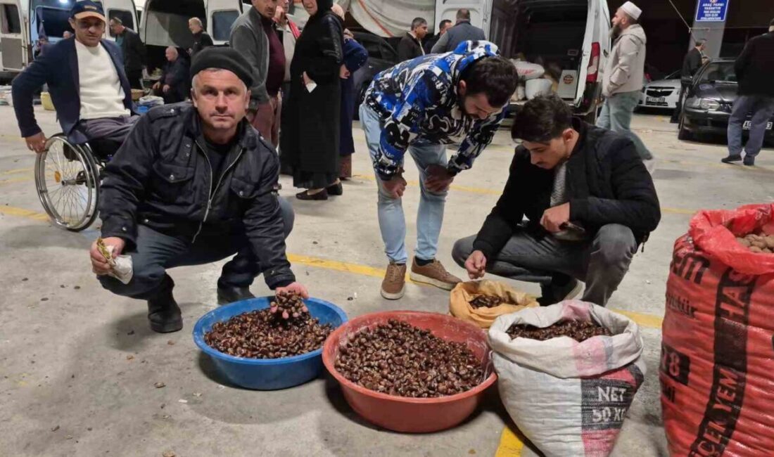 Düzce'de yağmura rağmen kuzu kestanesi pazarı yoğun ilgi görüyor. Düzce