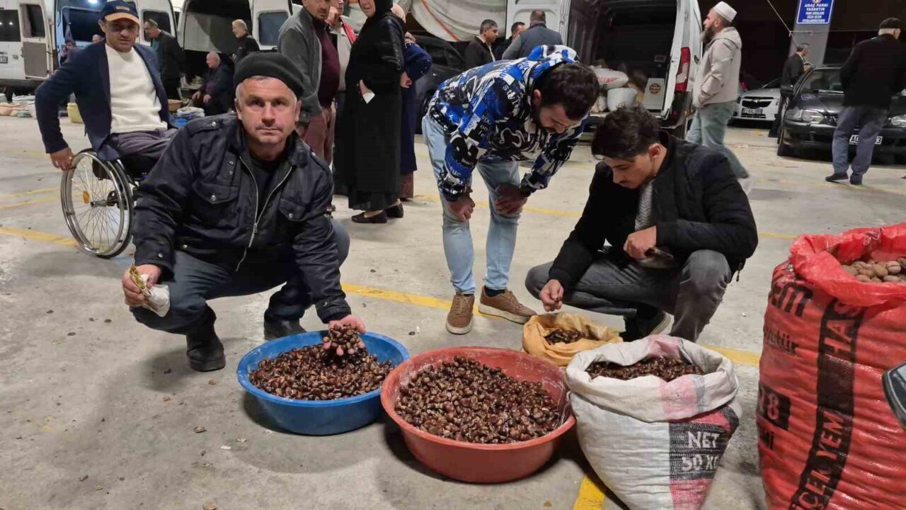 Düzce'de yağmura rağmen kuzu kestanesi pazarı yoğun ilgi görüyor. Düzce