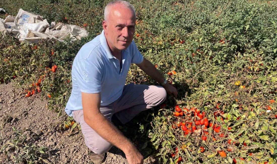 Bursa'nın Karacabey ilçesinden Londra'ya gidip fast food zinciri kuran Seçim