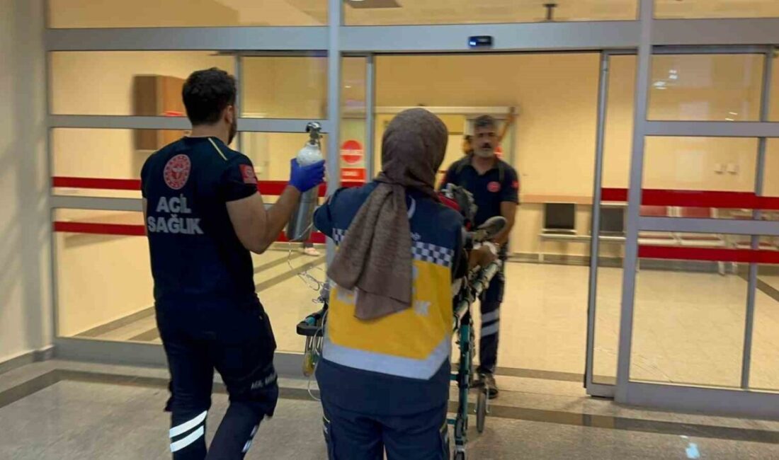 Adıyaman’da Madde Kullanımı Nedeniyle Hastaneye Kaldırılan Genç Hayata Tutunmaya Çalışıyor Adıyaman'da, madde kullandığı öne sürülen 19 yaşındaki C.U., Fatih Mahallesi'nde