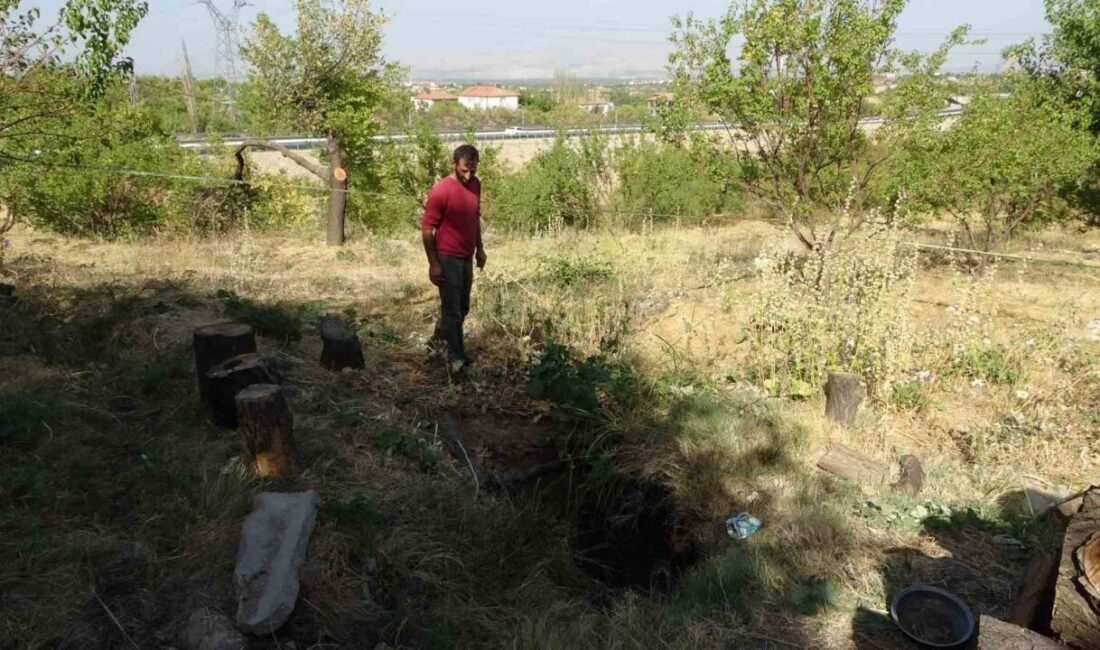 Malatya'nın Battalgazi ilçesinde Hanımınçiftliği Mahallesi'nde bir kayısı bahçesinde oluşan 2