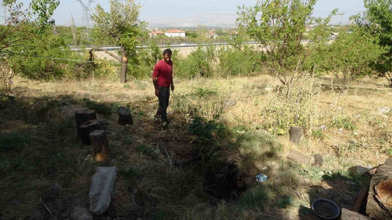Malatya'nın Battalgazi ilçesinde Hanımınçiftliği Mahallesi'nde bir kayısı bahçesinde oluşan 2