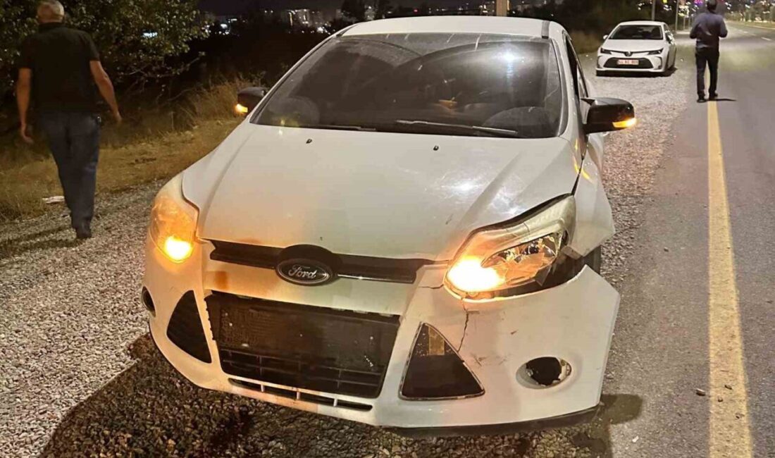 Malatya'da, Yeşilyurt ilçesindeki Yüzüncü Yıl Parkı yakınlarında seyir halindeki bir