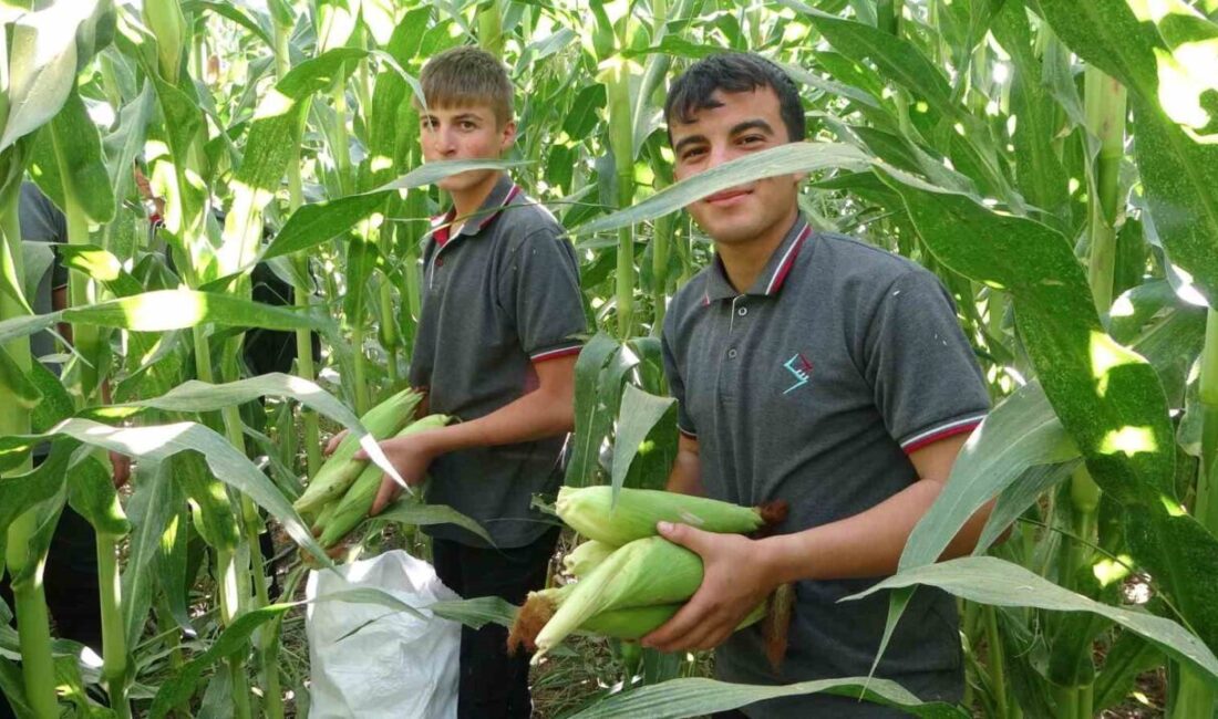 Malatya'daki Tarım Mesleki ve Teknik Anadolu Lisesi'nde öğrenciler, 110 dekarlık
