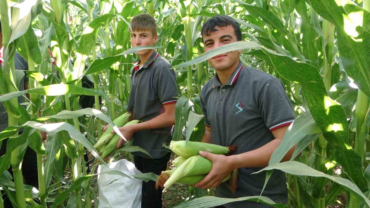 Malatya'daki Tarım Mesleki ve Teknik Anadolu Lisesi'nde öğrenciler, 110 dekarlık