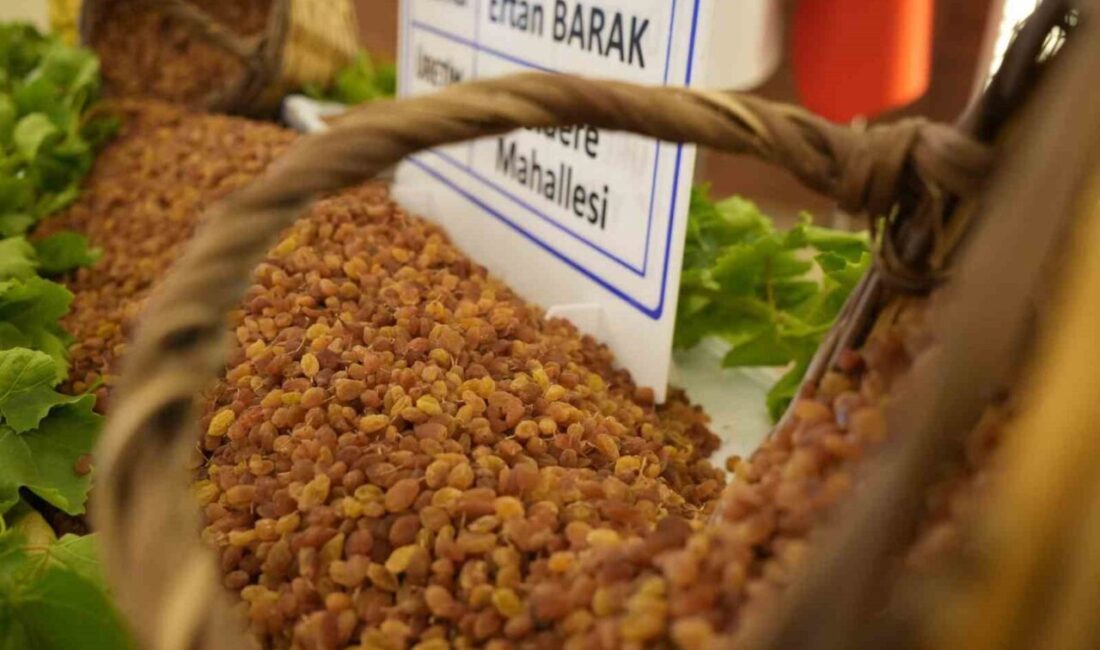 Manisa’da Tarım İhracatı Yükselişini Sürdürdü, 2025’in İlk 9 Ayında 706 Milyon Dolara Ulaştı Manisa, 2025 yılı ilk 9 ayında 706 milyon 707 bin