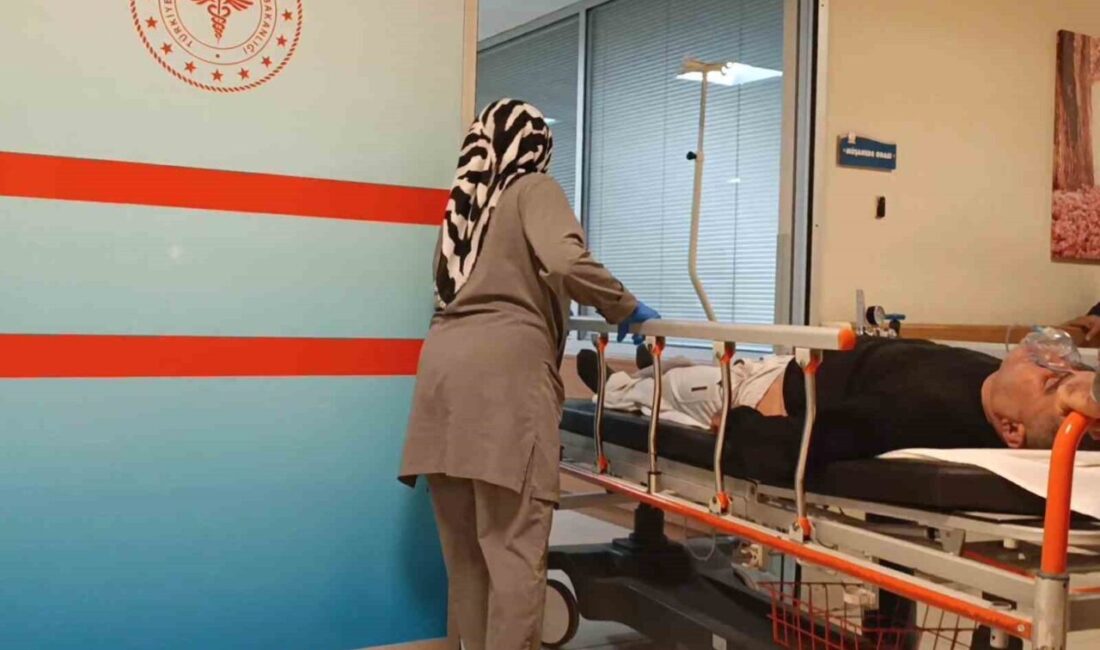 Bursa'nın İnegöl ilçesindeki Deydinler Mahallesi'nde, Mustafa Ö. (55) ormanda topladığı