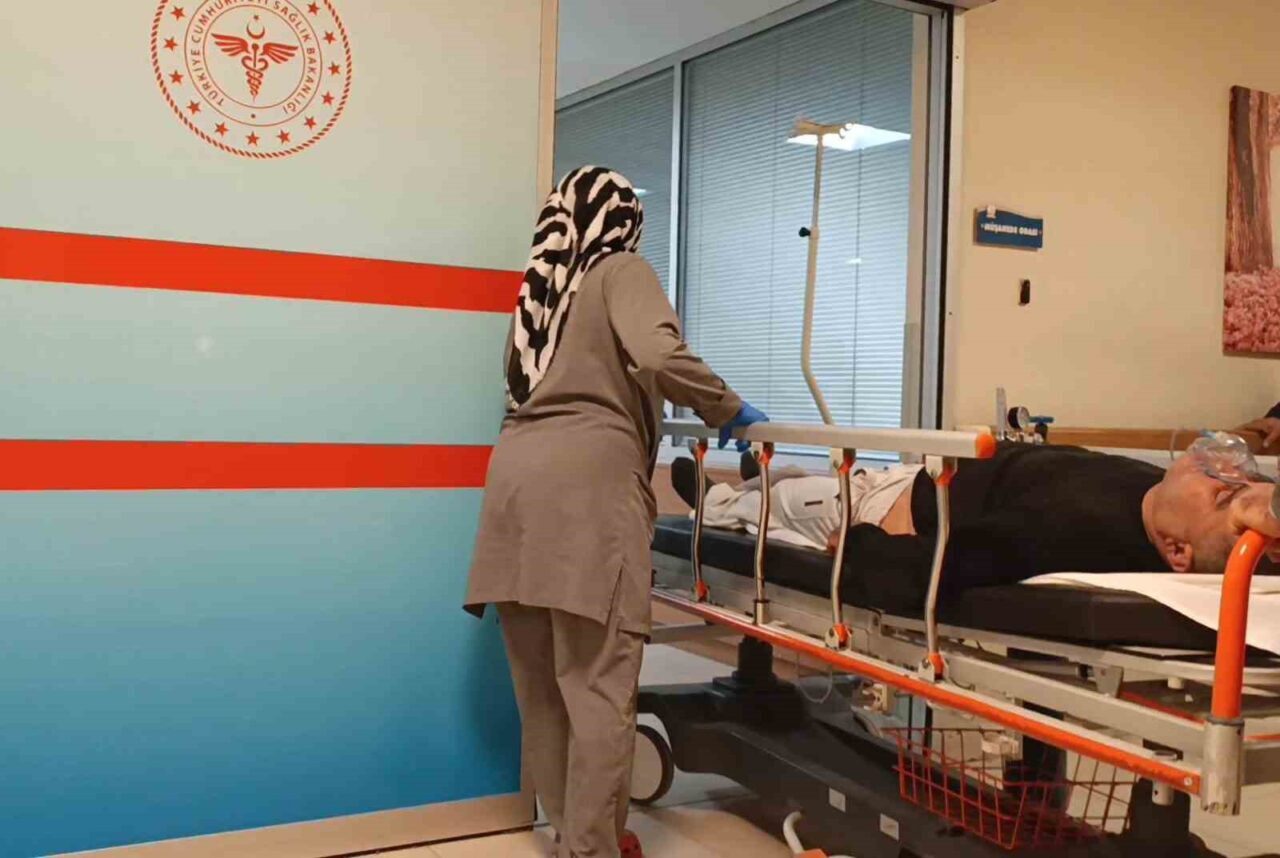 Bursa'nın İnegöl ilçesindeki Deydinler Mahallesi'nde, Mustafa Ö. (55) ormanda topladığı