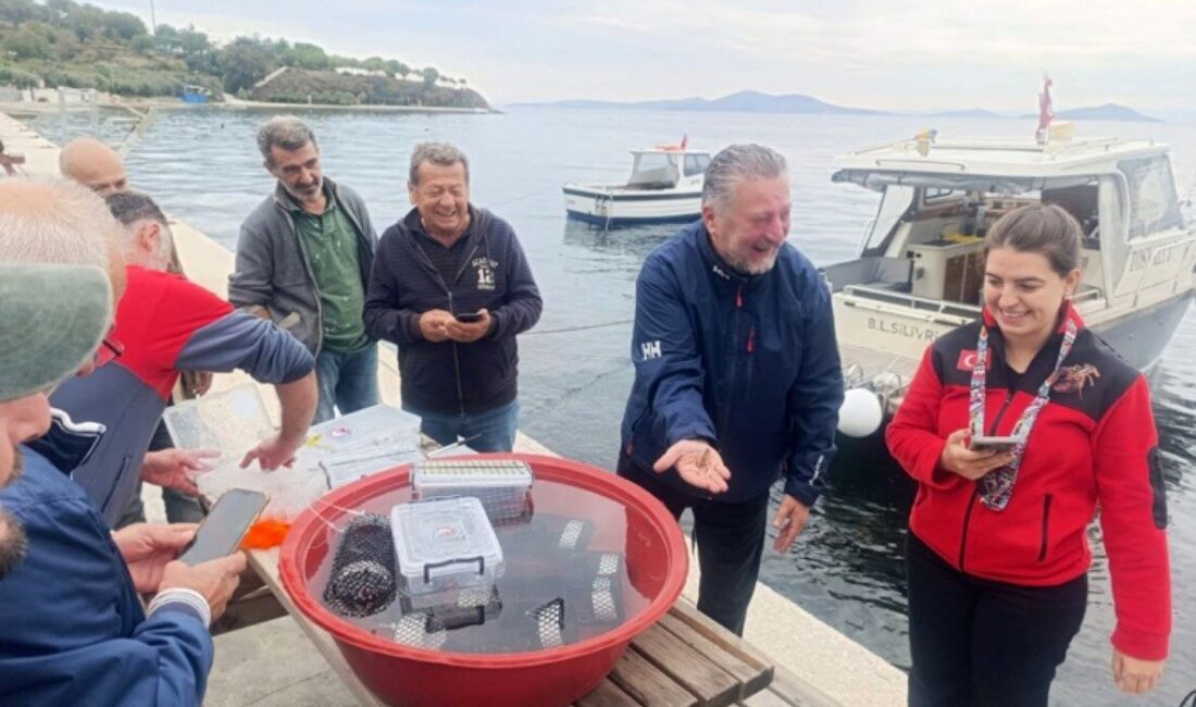 Balıkesir’in Marmara ilçesinde Gündoğdu Mahallesi'nde, 400 adet ıstakoz yavrusu ve
