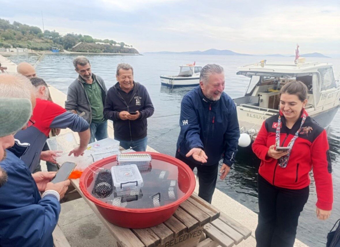 Balıkesir’in Marmara ilçesinde Gündoğdu Mahallesi'nde, 400 adet ıstakoz yavrusu ve