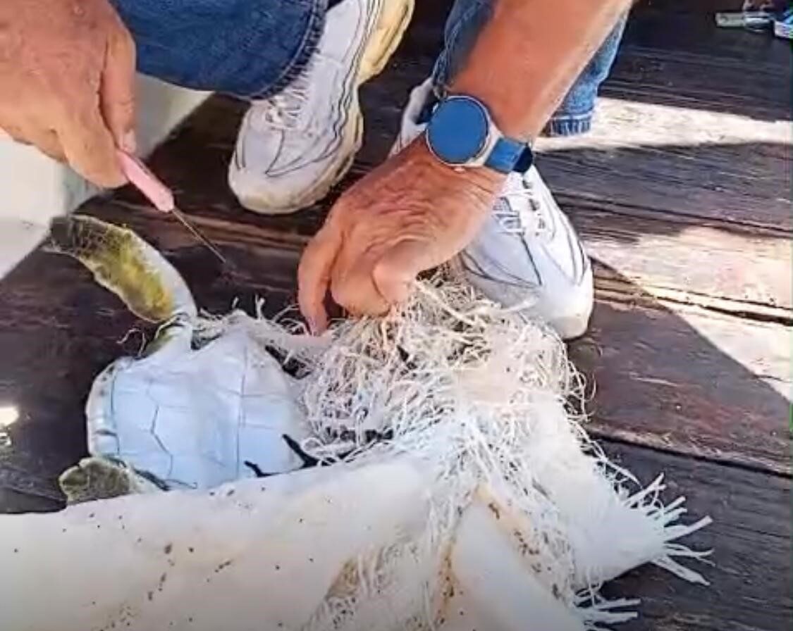 Marmaris'te denize açılan çevreci Özcan Köylübay ve arkadaşı, çuvala dolanmış