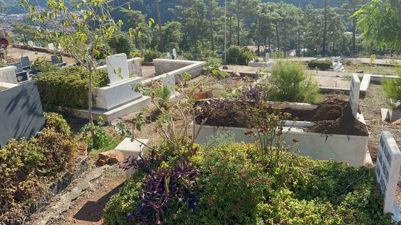 Marmaris'te yaban domuzları mezarlıklara girerek sorun yaratıyor. İçmeler Mahalle Muhtarı