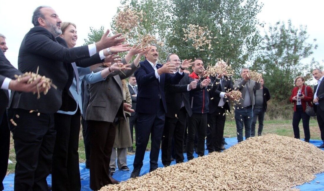 Meriç Alibeyköy’de 18-19 Ekim tarihlerinde düzenlenen Fıstık Şenliği, Edirne Valisi