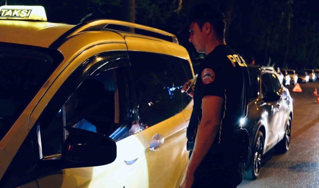 Mersin'de yapılan bir aylık polis çalışmalarında 134 silah, 91 ruhsatsız