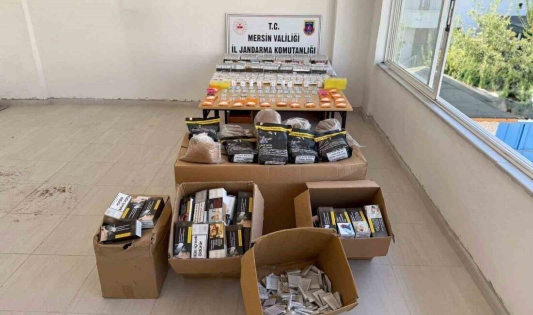 Mersin'de jandarma tarafından gerçekleştirilen operasyonda, 2 şüpheli gözaltına alındı. Yapılan