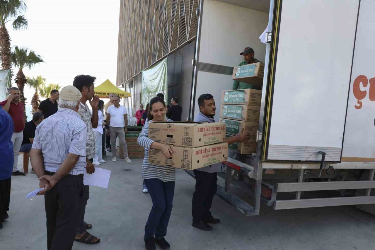 Mersin Büyükşehir Belediyesi, Aydıncık'taki 42 üreticiye 45 bin 360 hıyar