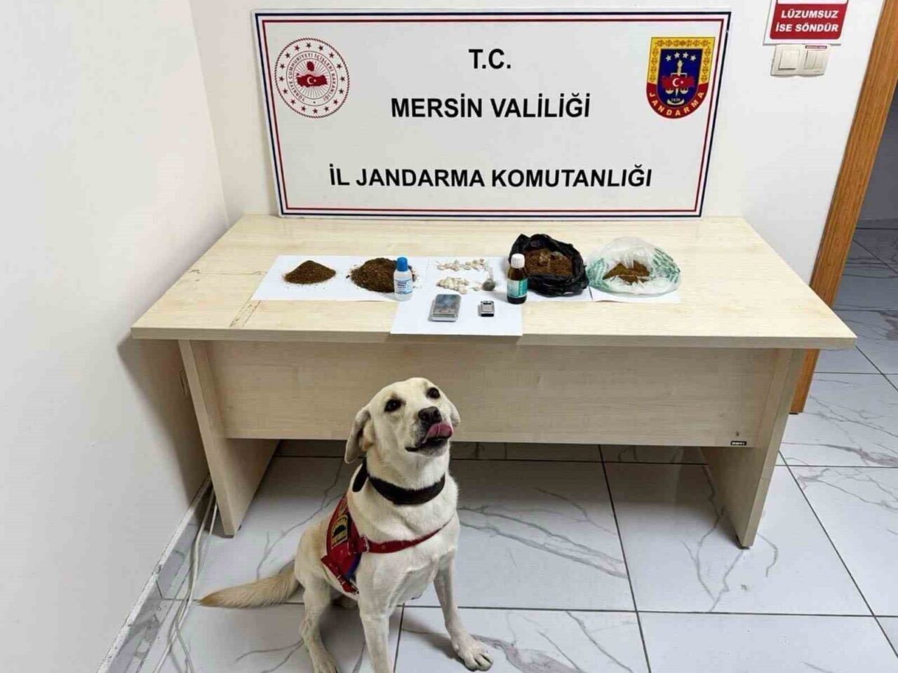 Mersin'in Erdemli ilçesinde düzenlenen operasyonda, uyuşturucu ticareti yaptıkları tespit edilen