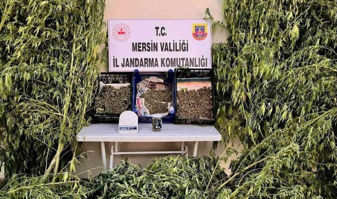 Mersin'de jandarma, Toroslar ve Mezitli ilçelerinde gerçekleştirdiği operasyonla uyuşturucu madde