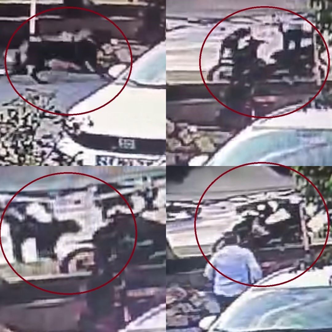 Mersin’in Toroslar ilçesinde sahibi tarafından ağızlıksız bırakılan bir Rottweiler, Şadiye