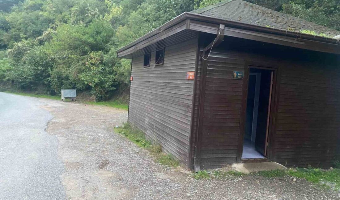 Kocaeli'nin Derince ilçesindeki Çınarlıdere Mesire Alanı'nda bulunan şadırvan kimliği belirsiz