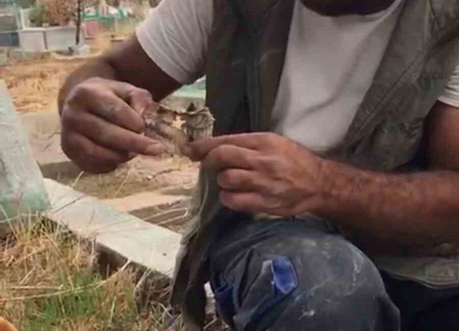 Diyarbakır Mezarlığında Bir Kişi, Kefenlenmiş Oyuncak Bebek Bularak Şaşkınlığını Gizleyemedi Diyarbakır'ın Bağlar ilçesindeki Yeniköy mezarlığında mezar kazarken Barış Karabulut, kefenlenmiş
