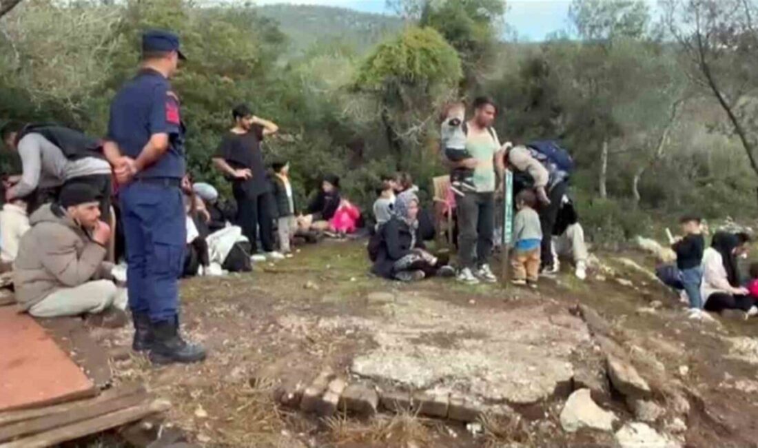 Milas’ta Yasa Dışı Göçmen Yakalama Operasyonu: 74 Kişi Ele Geçirildi Muğla'nın Milas ilçesindeki Kazıklı Koyu'nda, yasa dışı yolla kaçış amacıyla