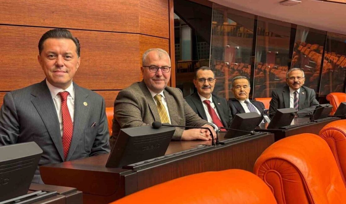 AK Parti Eskişehir Milletvekili Nebi Hatipoğlu, TBMM Genel Kurulu'nda müzakere