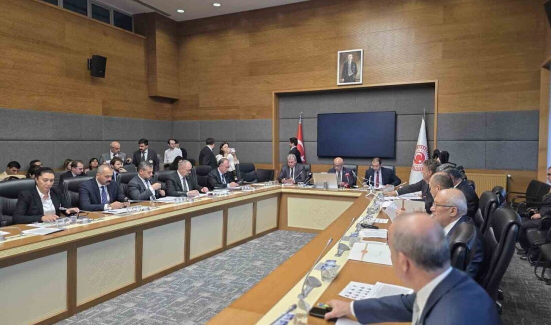 Tarım ve Orman Komisyonu, Milli Parklar Kanunu’nda Değişiklik Önerisini Gözden Geçirdi Tarım, Orman ve Köyişleri Komisyonu, AK Parti Kahramanmaraş Milletvekili Vahit