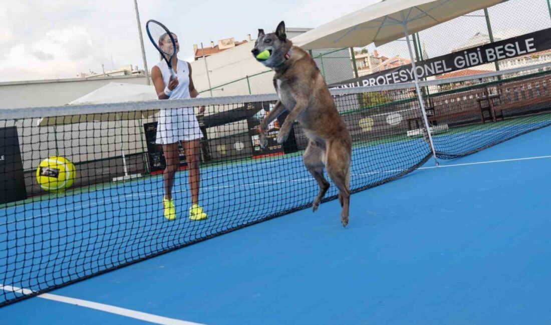 Çağla Büyükakçay, Evcil Hayvanların Sağlıklı Yaşamı İçin Önemli Bir Etkinliğe Katıldı Milli tenisçi Çağla Büyükakçay, evcil hayvanların sağlıklı beslenmesinin önemine dikkat