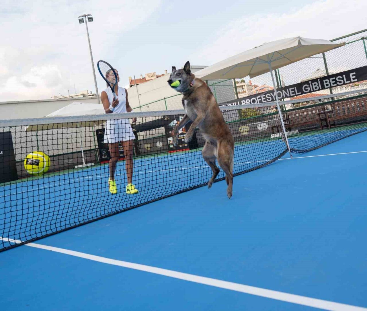 Milli tenisçi Çağla Büyükakçay, evcil hayvanların sağlıklı beslenmesinin önemine dikkat